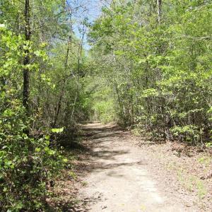 Photo #26 of TBD Goldenrod, Carthage, NC