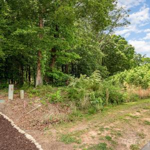 Photo #8 of Lot 10 Eagle Pointe, Norwood, NC