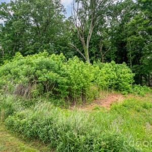 Photo #9 of Lot 10 Eagle Pointe, Norwood, NC