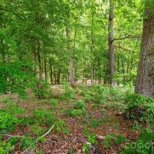 Photo #8 of Lot 10 Eagle Pointe, Norwood, NC