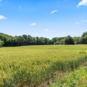 Photo #11 of Secrest Shortcut, Monroe, NC