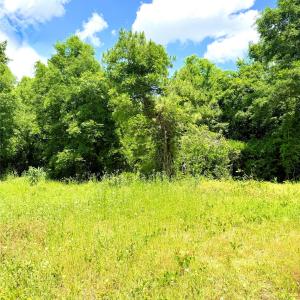 Photo #1 of Austin, Marshville, NC