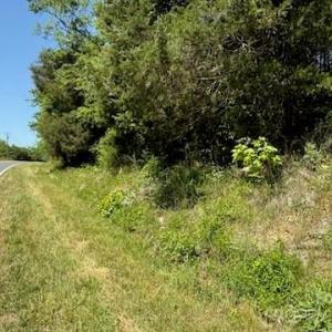 Photo #10 of 11769 NC Hwy 73, Mount Pleasant, NC