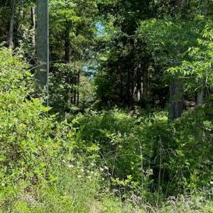 Photo #8 of 11769 NC Hwy 73, Mount Pleasant, NC