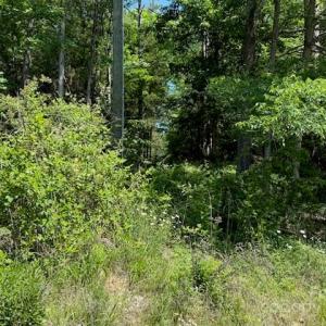 Photo #9 of 11769 NC Hwy 73, Mount Pleasant, NC