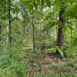 Photo #2 of White Oaks, Monroe, NC