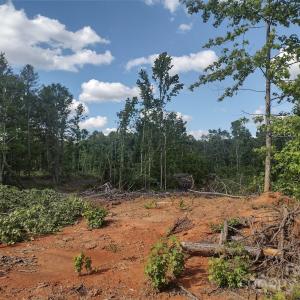Photo #1 of 1812, 1806 Trinity Church, Monroe, NC