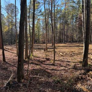 Photo #2 of TBD Sunnyside, Lancaster, SC