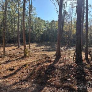 Photo #1 of TBD Sunnyside, Lancaster, SC