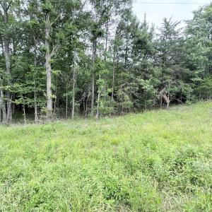 Photo #2 of 2 Acres Cimmeron, Lancaster, SC