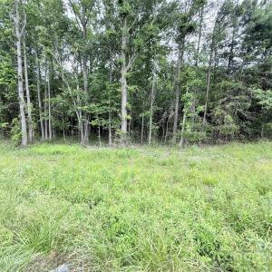 Photo #3 of 2 Acres Cimmeron, Lancaster, SC