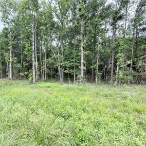 Photo #1 of 2 Acres Cimmeron, Lancaster, SC