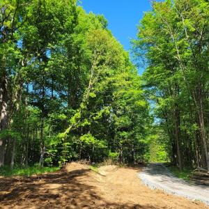 Photo #31 of John Morgan, Gold Hill, NC