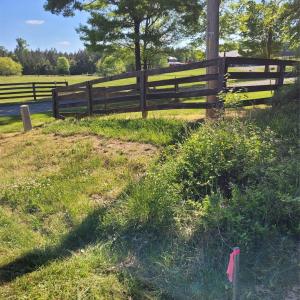 Photo #3 of John Morgan, Gold Hill, NC