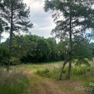 Photo #3 of 160 Pine Log, Polkton, NC