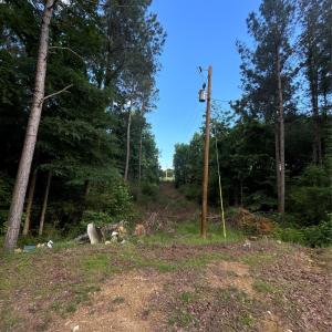Photo #11 of 160 Pine Log, Polkton, NC