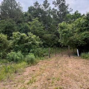 Photo #7 of 160 Pine Log, Polkton, NC