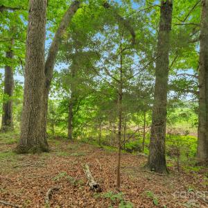 Photo #6 of Lucy Short Cut, Marshville, NC