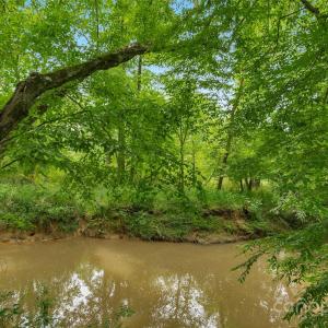 Photo #15 of Lucy Short Cut, Marshville, NC