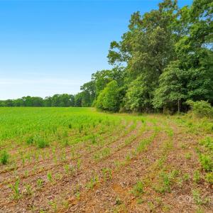 Photo #4 of Lucy Short Cut, Marshville, NC