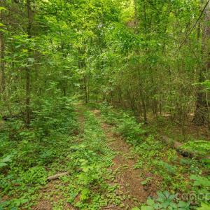 Photo #18 of Lucy Short Cut, Marshville, NC