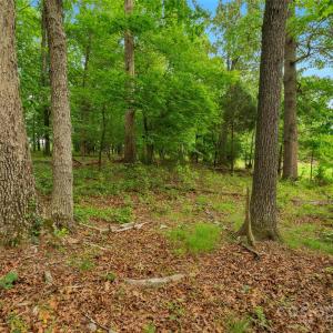 Photo #7 of Lucy Short Cut, Marshville, NC