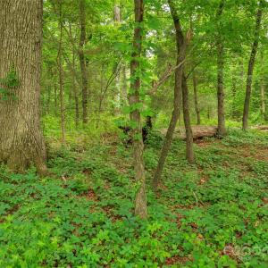 Photo #5 of Lucy Short Cut, Marshville, NC