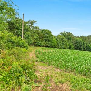 Photo #10 of Lucy Short Cut, Marshville, NC