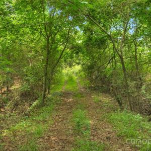 Photo #21 of Lucy Short Cut, Marshville, NC