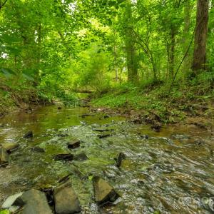 Photo #2 of Lucy Short Cut, Marshville, NC