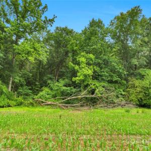 Photo #18 of Lucy Short Cut, Marshville, NC