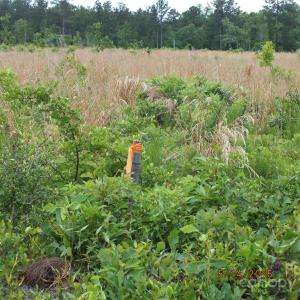 Photo #2 of Oak Ridge Church, Kershaw, SC