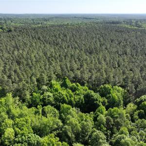 Photo #15 of 4815 NC 109, Wadesboro, NC