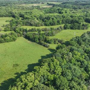 Photo #9 of Avery Parker, Monroe, NC