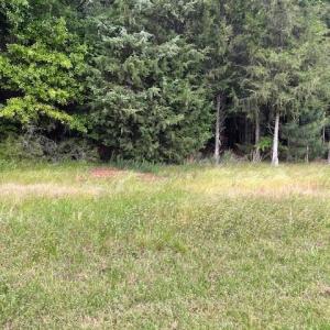 Photo #1 of Lot 44 Woodglenn, Catawba, SC