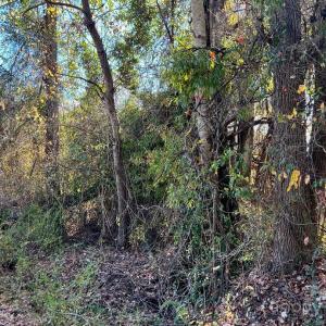 Photo #2 of Old Camden, Lancaster, SC