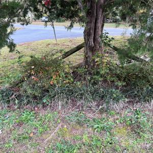 Photo #24 of 216 Fox Chase, Rock Hill, SC