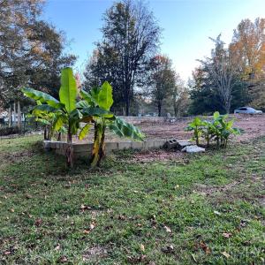 Photo #15 of 216 Fox Chase, Rock Hill, SC