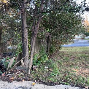 Photo #20 of 216 Fox Chase, Rock Hill, SC