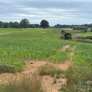 Photo #3 of Wolf Pond, Monroe, NC