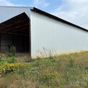 Photo #15 of Wolf Pond, Monroe, NC