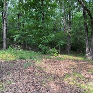 Photo #11 of Wolf Pond, Monroe, NC