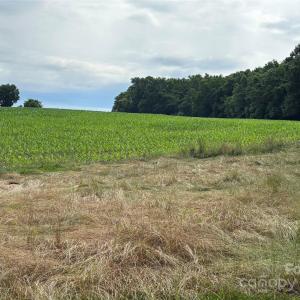 Photo #9 of Wolf Pond, Monroe, NC