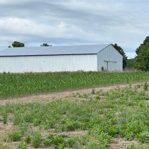 Photo #16 of Wolf Pond, Monroe, NC
