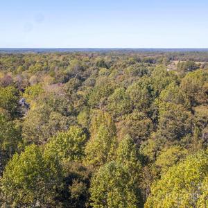 Photo #6 of Nablus, Waxhaw, NC