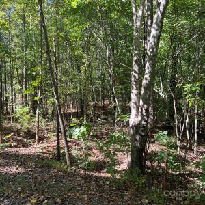 Photo #7 of Nablus, Waxhaw, NC