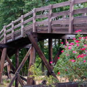 Photo #12 of Nablus, Waxhaw, NC