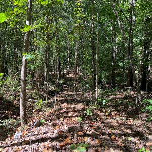 Photo #9 of Nablus, Waxhaw, NC