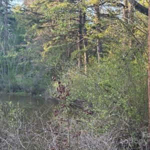 Photo #8 of 11155 Highway 52, Rockwell, NC
