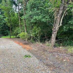 Photo #4 of Pleasant Valley, Mount Gilead, NC